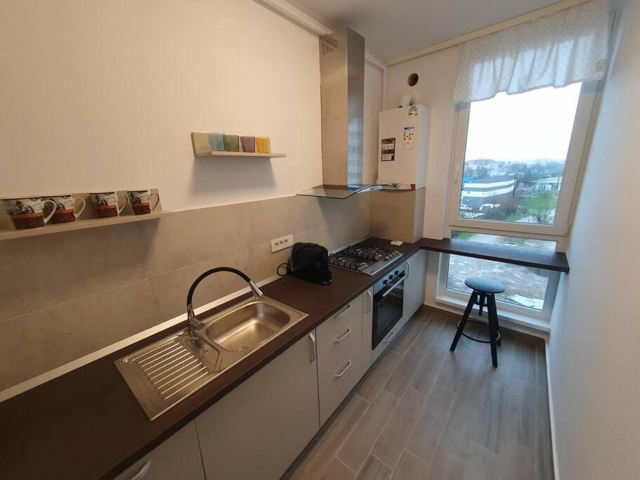 New Luxury Flat Near City Center Apartment ทิมิชัวรา ภายนอก รูปภาพ
